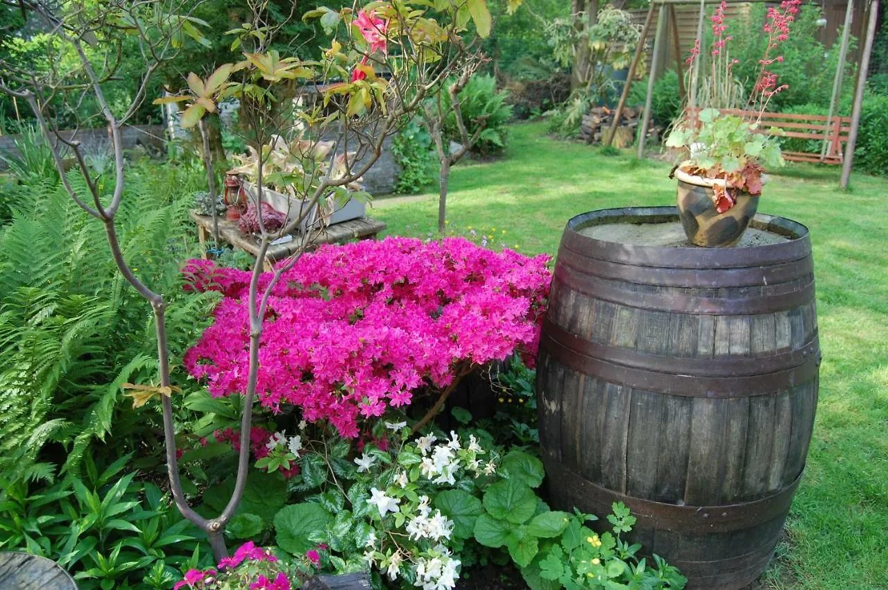 B&B Bij Moemee Ghent Bed & Breakfast